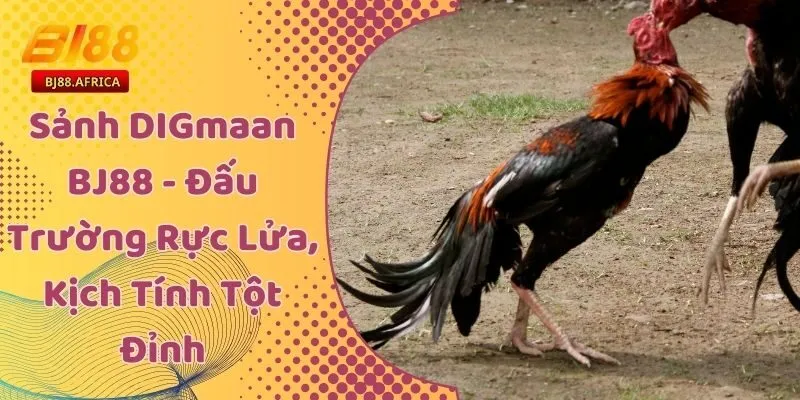 Sảnh DIGmaan BJ88 - Đấu Trường Rực Lửa, Kịch Tính Tột Đỉnh