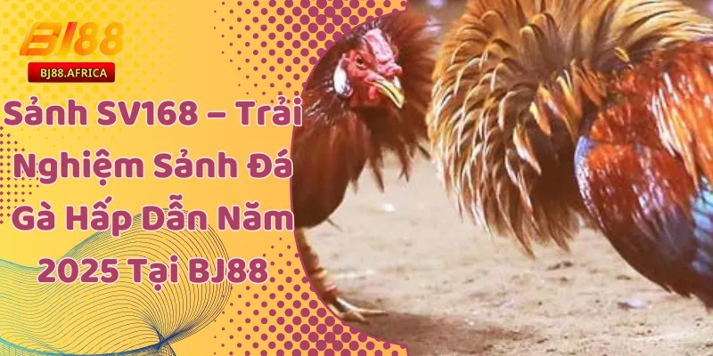 Sảnh SV168 – Trải Nghiệm Đá Gà Hấp Dẫn Năm 2025 Tại BJ88